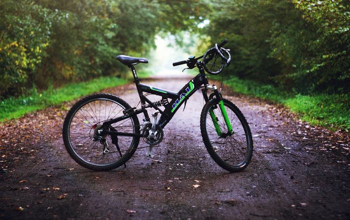 Bicicletas: Encuentra la bicicleta perfecta para ti